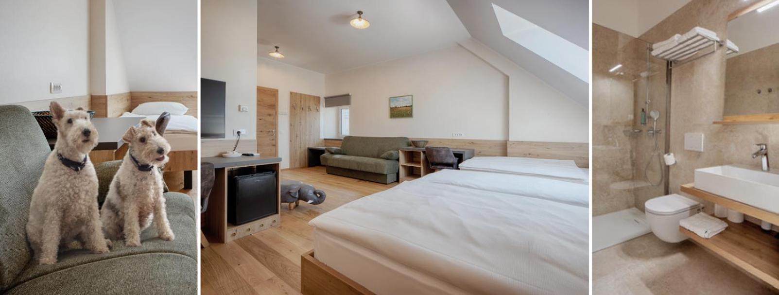 Guesthouse Turšič Vrhnika Extérieur photo